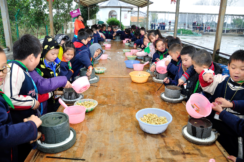 香花桥小学开展"学农做农"体验和"团队拓展"训练主题半日活动
